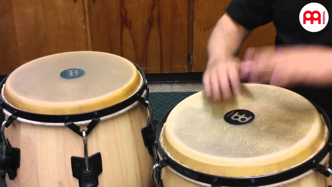 Conga - Welches Instrument - Conge Empfehlungen